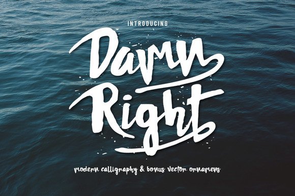 Damn Right: The Playful Brush Script for Designs with Attitude