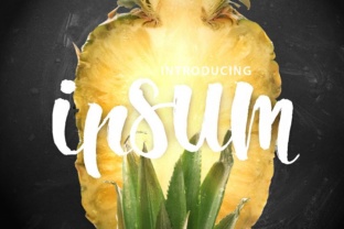 Ipsum Script: A Strategic Tool for Modern Visual Communication