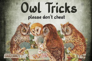 Old Story Bold: A Handmade Font with Vintage Character and Practical Versatility